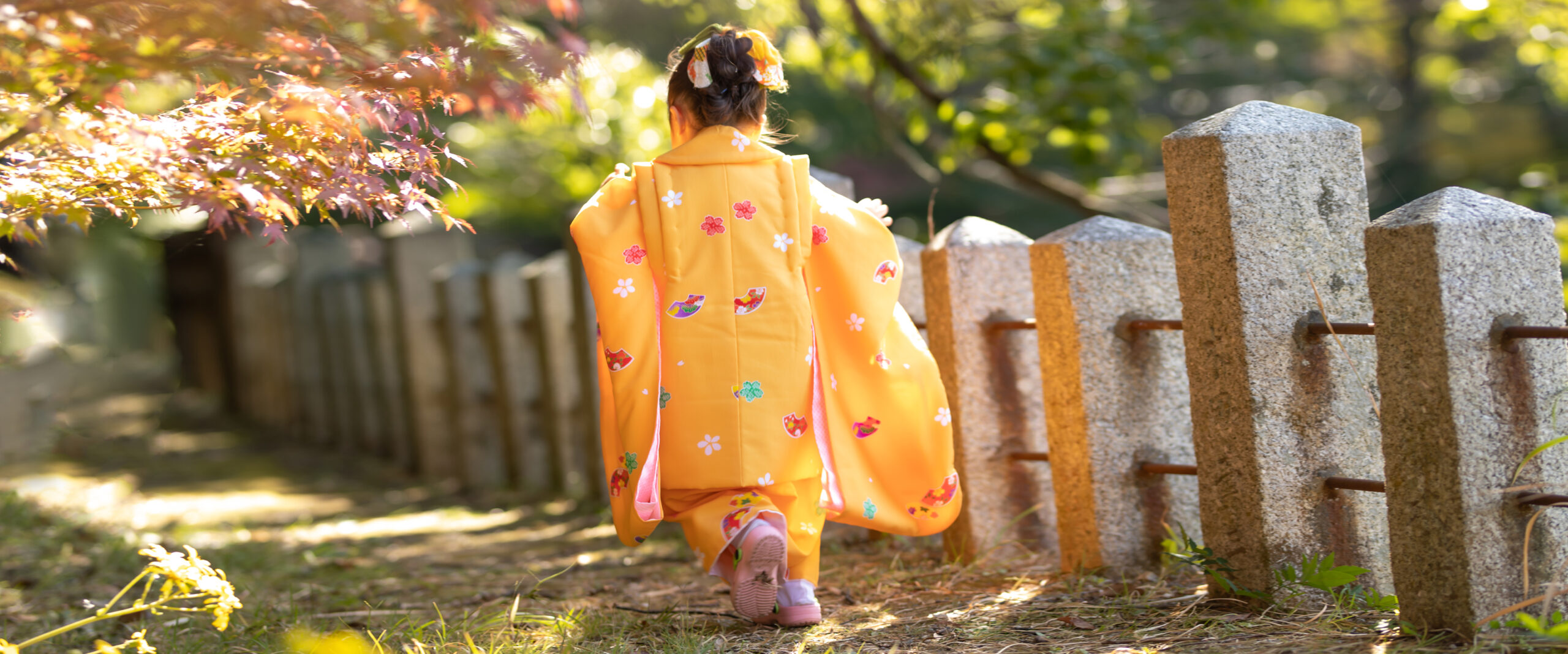 宇佐市の宇佐神宮の美しい木漏れ日と紅葉に包まれた境内で、鮮やかな黄色の被布を着た女の子が楽しそうに前へ進んでいく七五三の後ろ姿